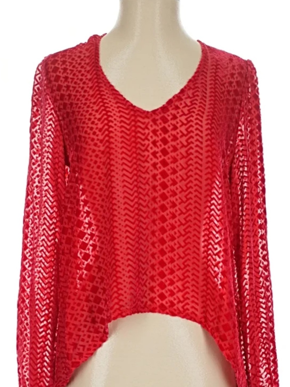 Red burn out Velvet V-Neck top - size large nwot. Holiday ready and so pretty